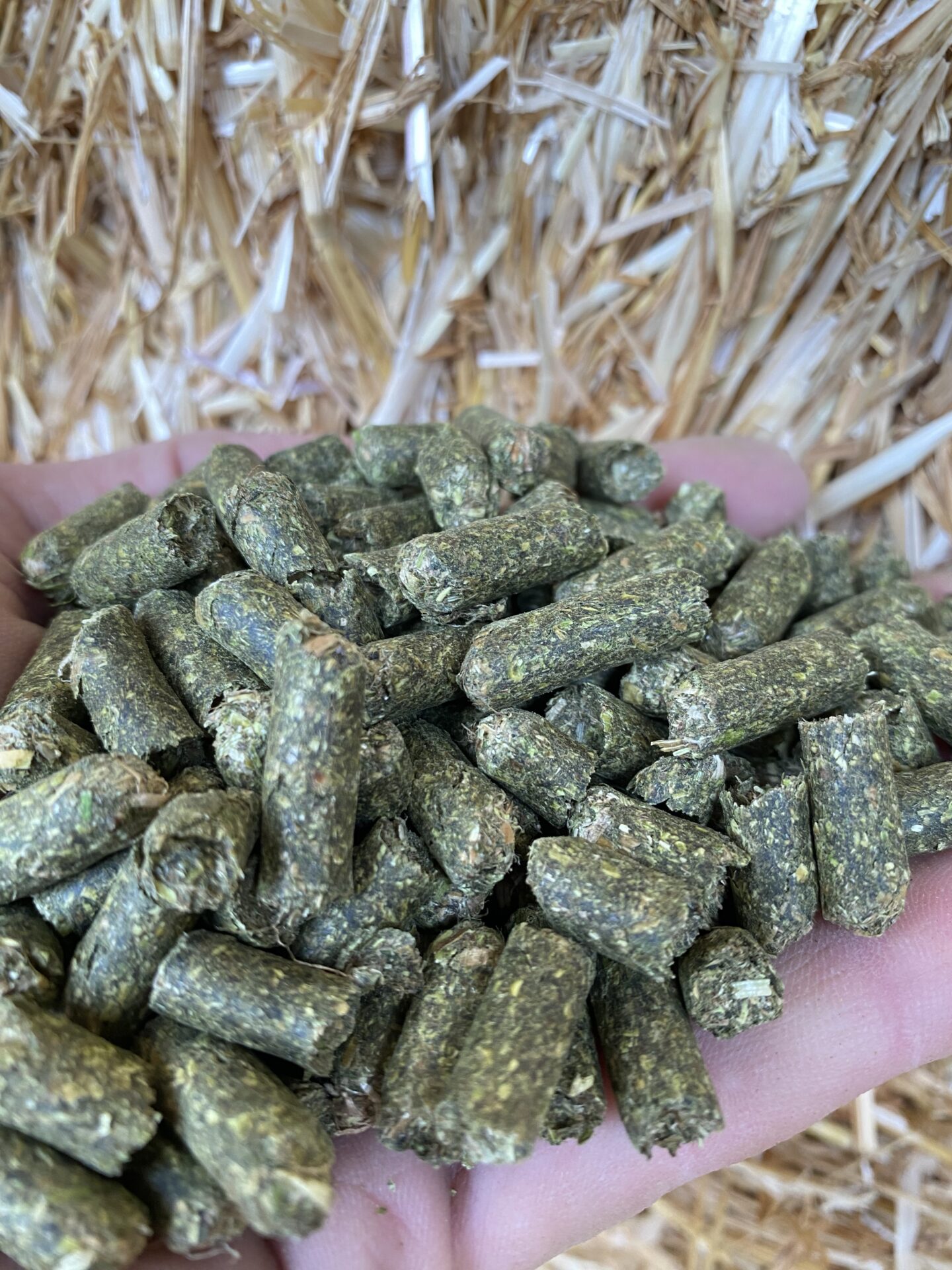 Pellets De Luzerne Un Format Pratique Pour L alimentation Des Animaux 